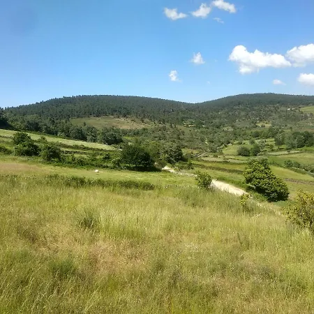 Casa Do Carvalho Tatil Evi