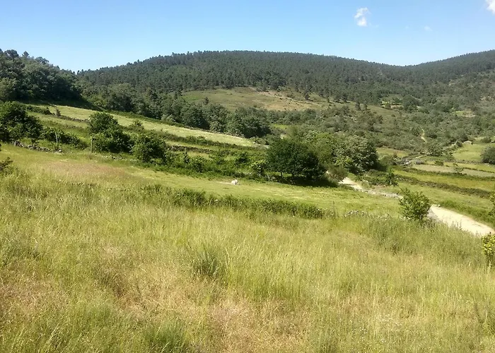 Dom wakacyjny Casa Do Carvalho *